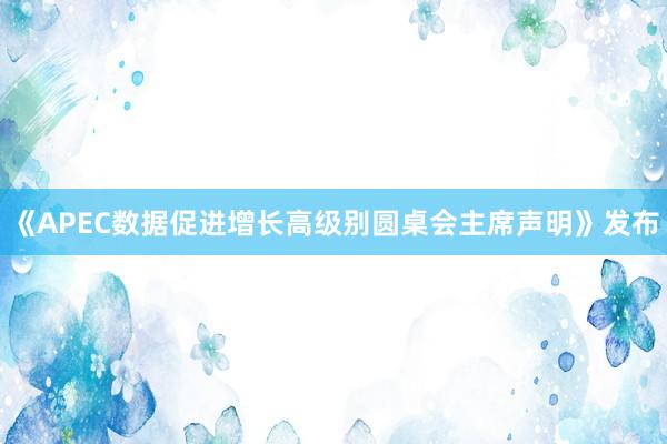 《APEC数据促进增长高级别圆桌会主席声明》发布