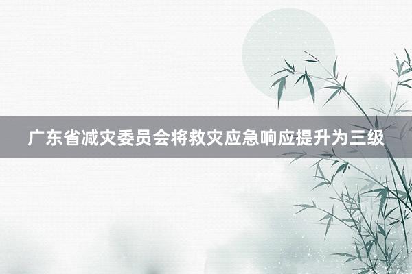 广东省减灾委员会将救灾应急响应提升为三级