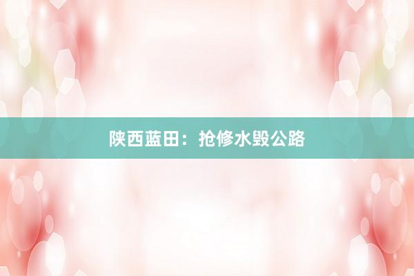 陕西蓝田：抢修水毁公路