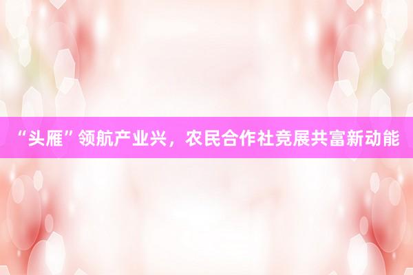 “头雁”领航产业兴，农民合作社竞展共富新动能
