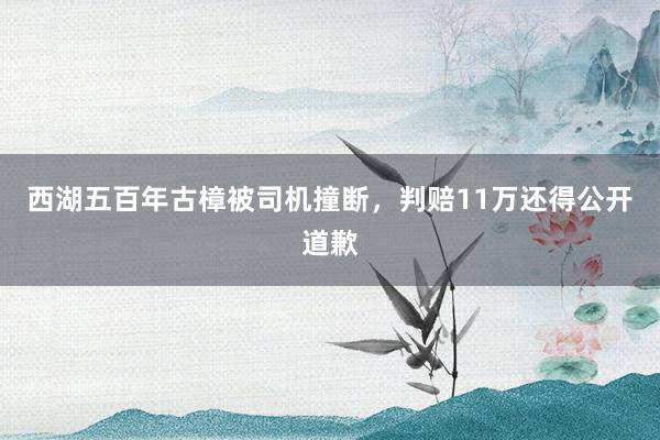 西湖五百年古樟被司机撞断，判赔11万还得公开道歉