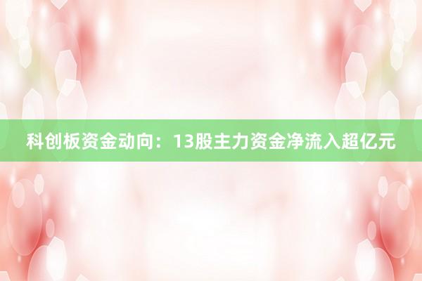 科创板资金动向：13股主力资金净流入超亿元