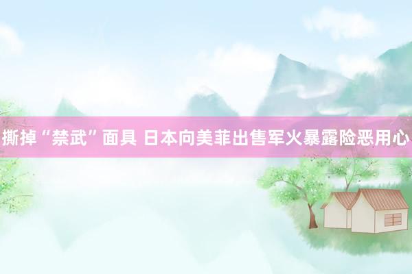 撕掉“禁武”面具 日本向美菲出售军火暴露险恶用心