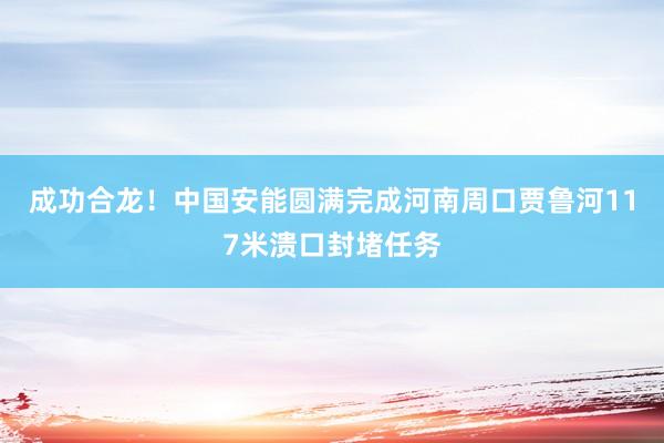 成功合龙！中国安能圆满完成河南周口贾鲁河117米溃口封堵任务