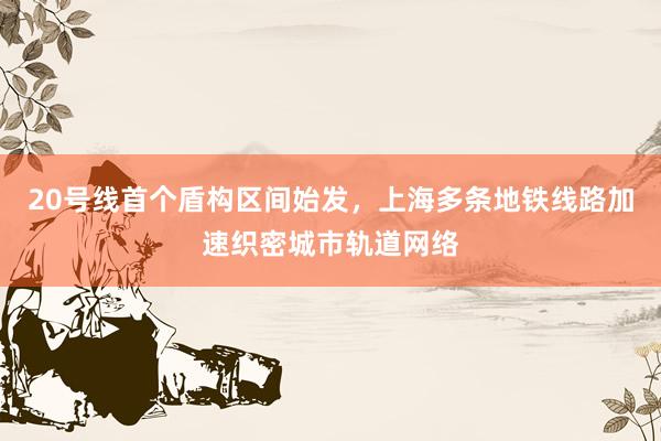 20号线首个盾构区间始发，上海多条地铁线路加速织密城市轨道网络