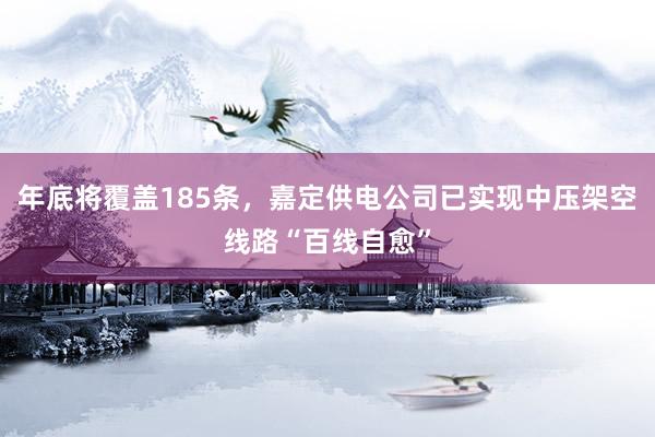 年底将覆盖185条，嘉定供电公司已实现中压架空线路“百线自愈”