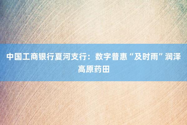 中国工商银行夏河支行：数字普惠“及时雨”润泽高原药田