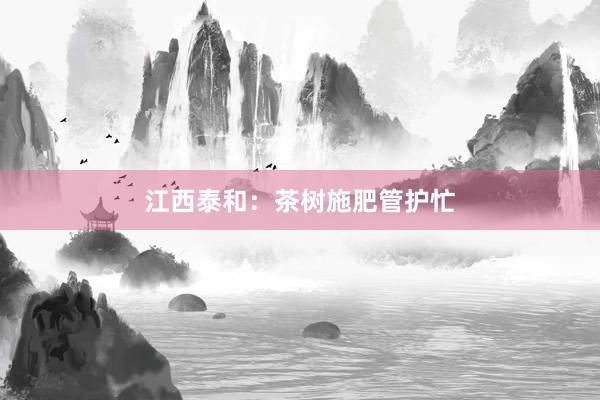 江西泰和：茶树施肥管护忙
