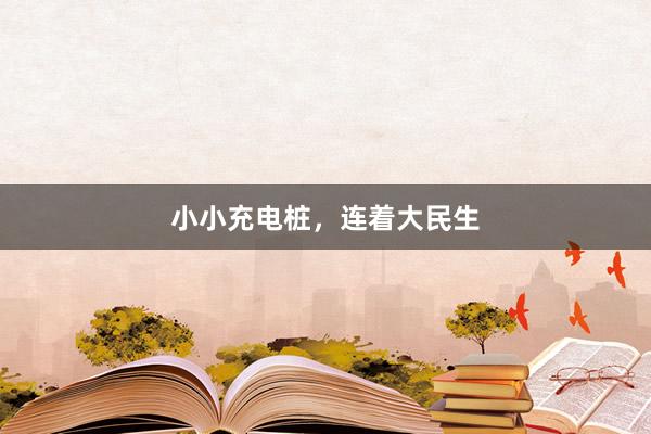 小小充电桩，连着大民生