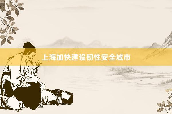 上海加快建设韧性安全城市