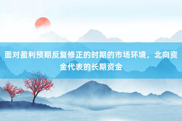 面对盈利预期反复修正的时期的市场环境，北向资金代表的长期资金