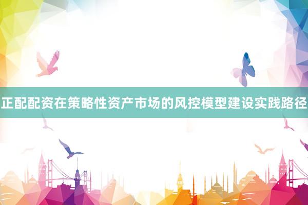 正配配资在策略性资产市场的风控模型建设实践路径