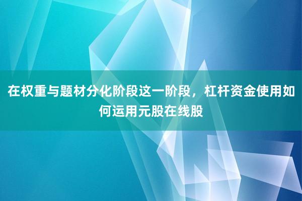 在权重与题材分化阶段这一阶段，杠杆资金使用如何运用元股在线股