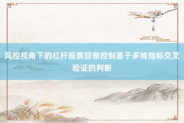 风控视角下的杠杆股票回撤控制基于多维指标交叉验证的判断