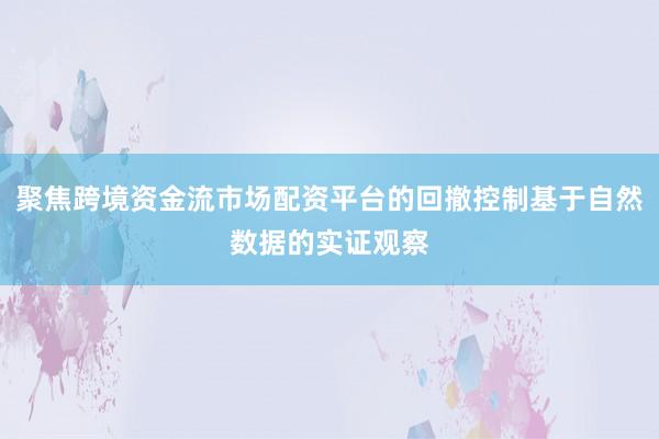 聚焦跨境资金流市场配资平台的回撤控制基于自然数据的实证观察
