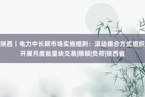 陕西丨电力中长期市场实施细则：滚动撮合方式组织开展月度能量块交易|限额|负荷|陕西省
