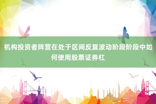 机构投资者阵营在处于区间反复波动阶段阶段中如何使用股票证券杠