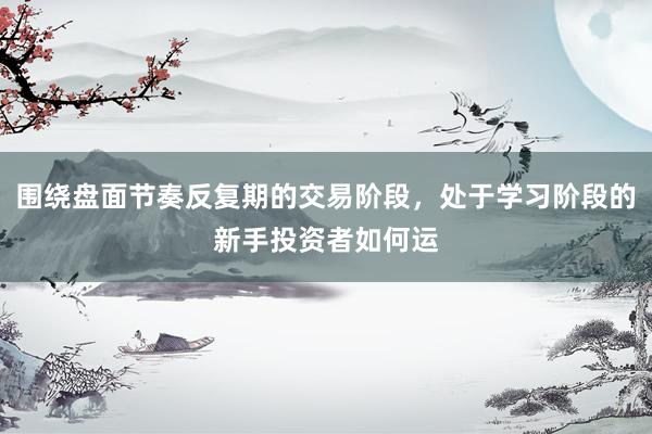 围绕盘面节奏反复期的交易阶段,处于学习阶段的新手投资者如何运