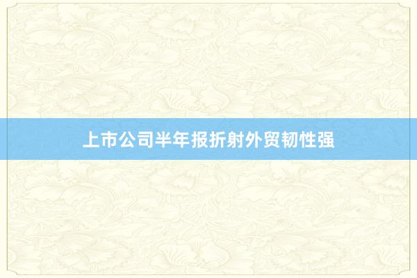 上市公司半年报折射外贸韧性强