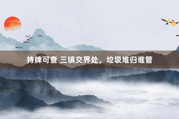持牌可查 三镇交界处，垃圾堆归谁管