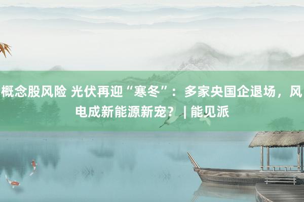 概念股风险 光伏再迎“寒冬”：多家央国企退场，风电成新能源新宠？ | 能见派