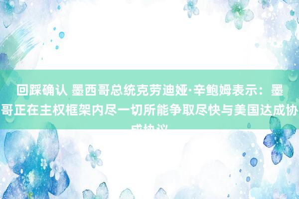 回踩确认 墨西哥总统克劳迪娅·辛鲍姆表示：墨西哥正在主权框架内尽一切所能争取尽快与美国达成协议