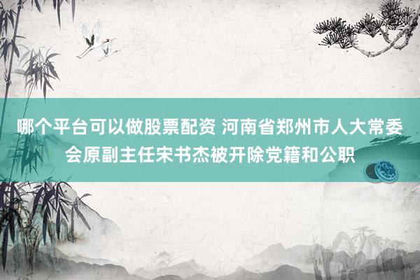 哪个平台可以做股票配资 河南省郑州市人大常委会原副主任宋书杰被开除党籍和公职