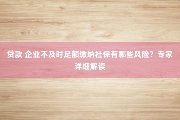 贷款 企业不及时足额缴纳社保有哪些风险？专家详细解读