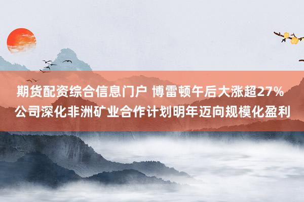 期货配资综合信息门户 博雷顿午后大涨超27% 公司深化非洲矿业合作计划明年迈向规模化盈利