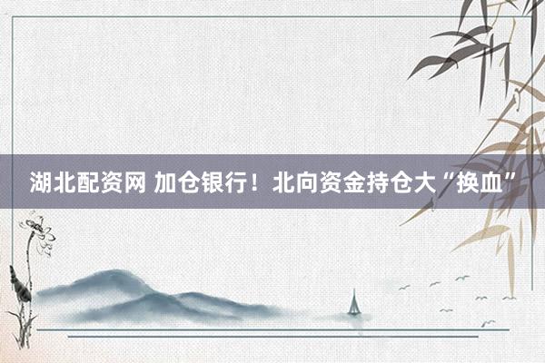 湖北配资网 加仓银行！北向资金持仓大“换血”