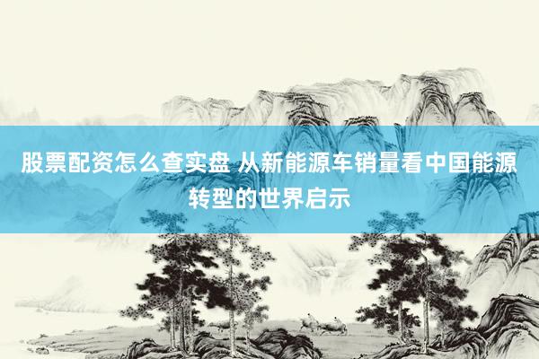 股票配资怎么查实盘 从新能源车销量看中国能源转型的世界启示