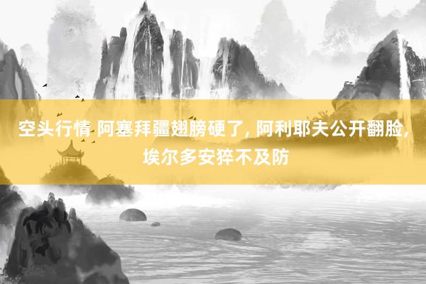 空头行情 阿塞拜疆翅膀硬了, 阿利耶夫公开翻脸, 埃尔多安猝不及防