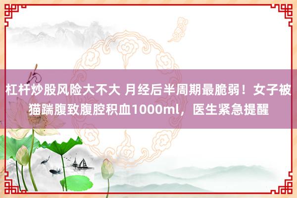 杠杆炒股风险大不大 月经后半周期最脆弱！女子被猫踹腹致腹腔积血1000ml，医生紧急提醒