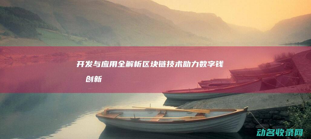 开发与应用全解析 区块链技术助力数字钱包创新 (开发与应用全称是什么)